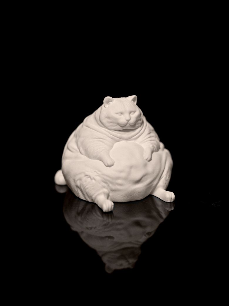 Fat_Cat