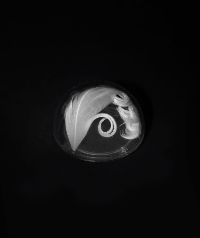 feather tok