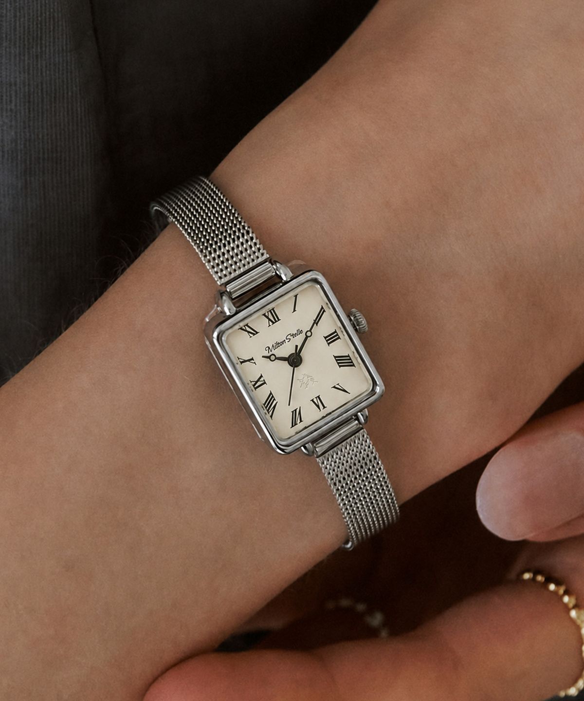 밀튼 스텔리(MILTON STELLE) Mellow Mesh Watch MS-164MS