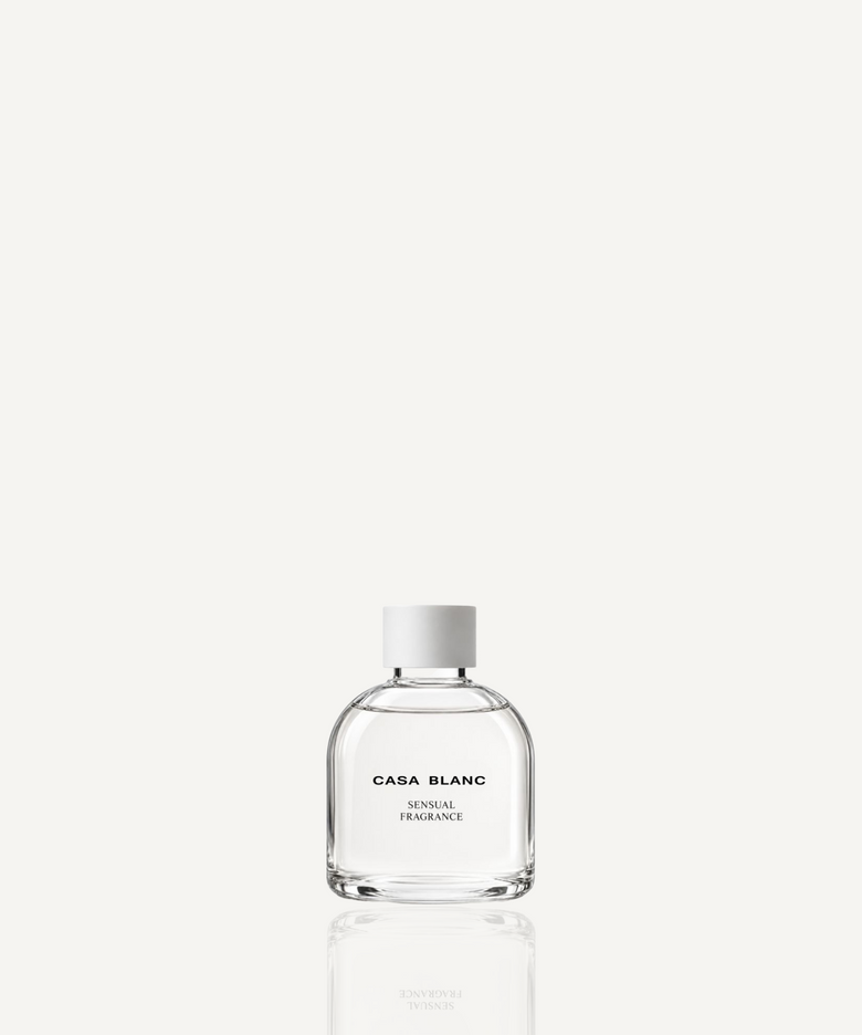 디퓨저 실내용/차량용 리필액 100mL