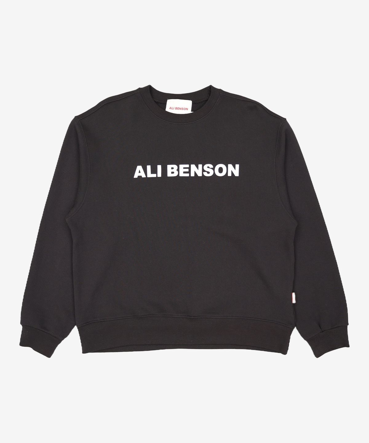 알리벤슨(ALI BENSON) 맨투맨/스웨트셔츠 L