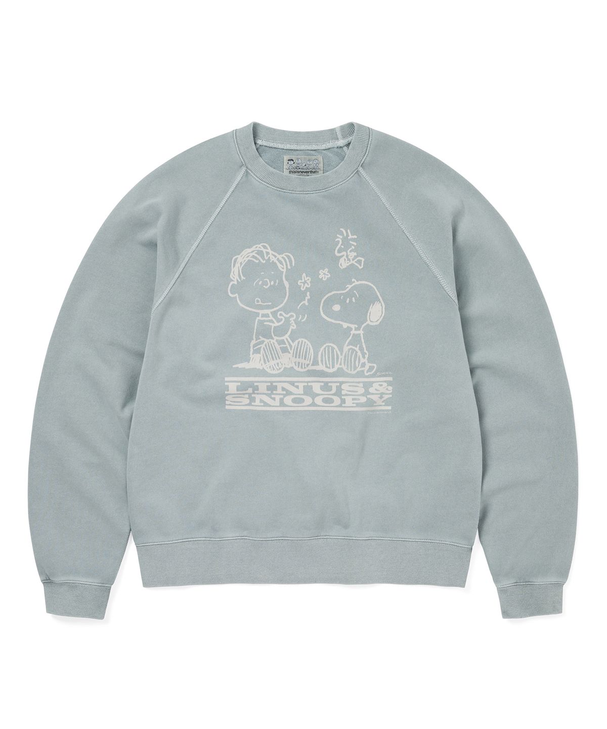 디스이즈네버댓(THISISNEVERTHAT) TNT PEANUTS Faded Crewneck Blue Grey