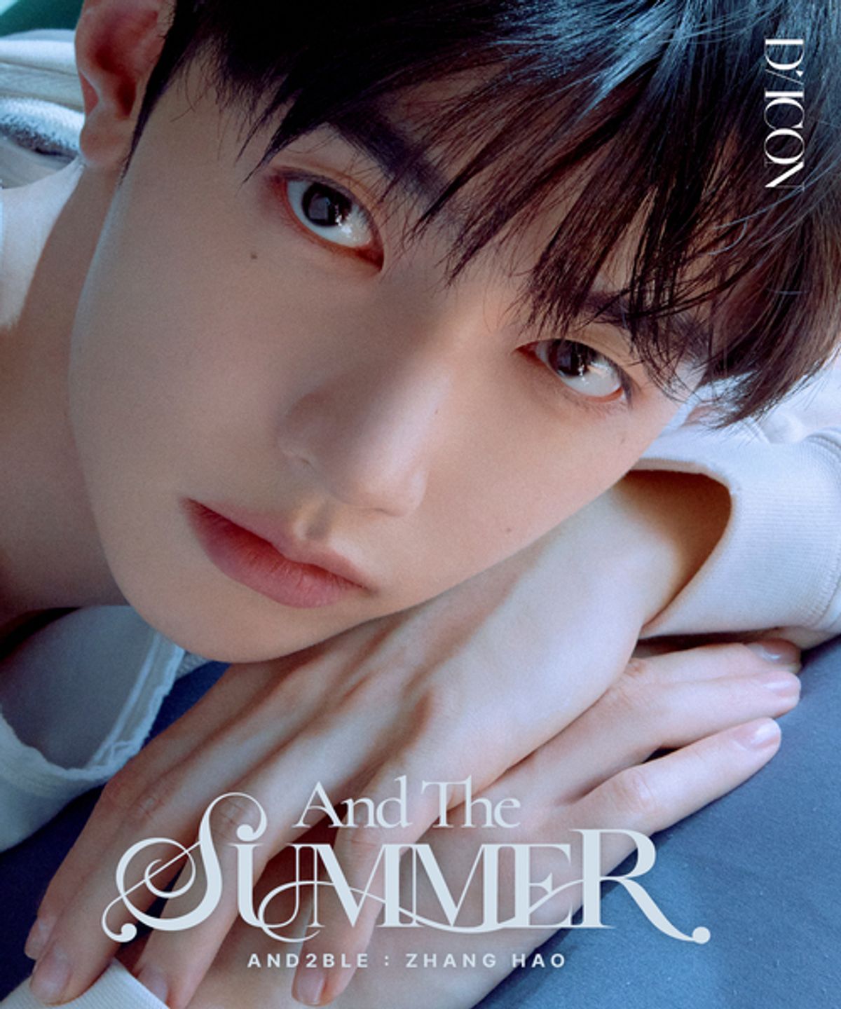 후즈팬 스토어(WHOSFAN STORE) (B-TYPE ZHANG HAO) DICON VOLUME N°35 AND2BLE AND THE SUMMER
