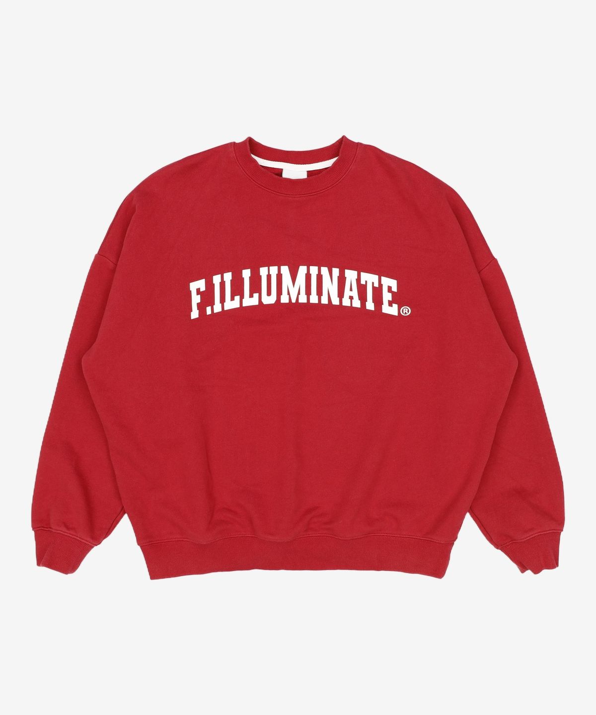필루미네이트(FILLUMINATE) 맨투맨/스웨트셔츠 L