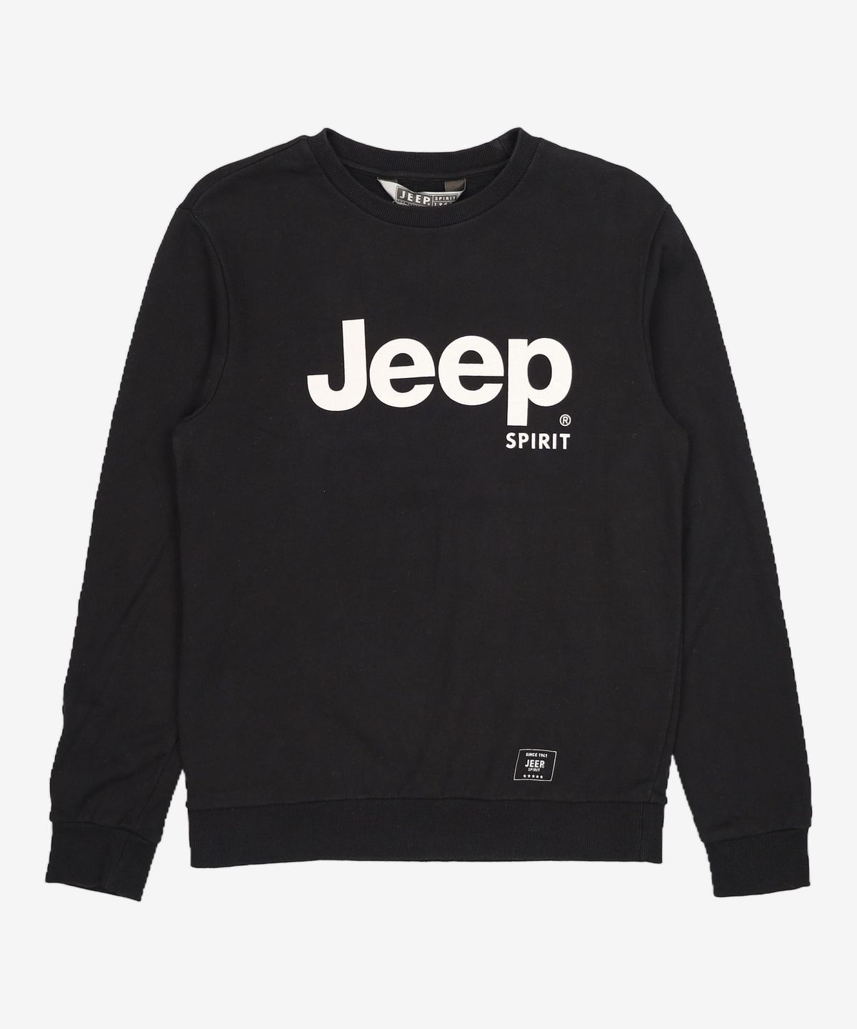 지프(JEEP) 맨투맨/스웨트셔츠 100