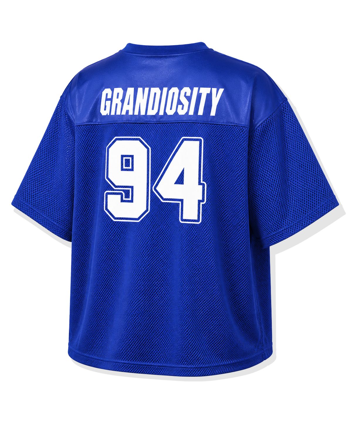 그랜디오시티(GRANDIOSITY) 글로시 메쉬 오버핏 럭비 져지 (블루)