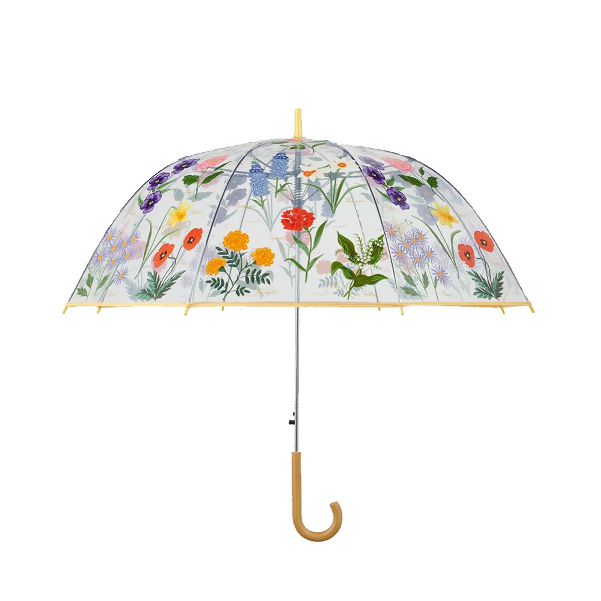 라이플 페이퍼(RIFLE PAPER) Garden Study 투명 우산