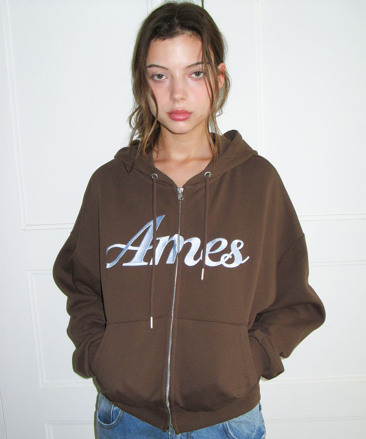 아메스 월드와이드(AMES-WORLDWIDE) STANDARD LOGO HOODIE ZIP-UP BROWN