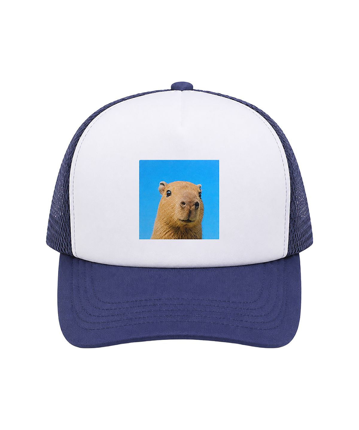 어라이트앵글(ARIGHTANGLE) CAPYBARA TRUCKER CAP2 (2 COLOR)