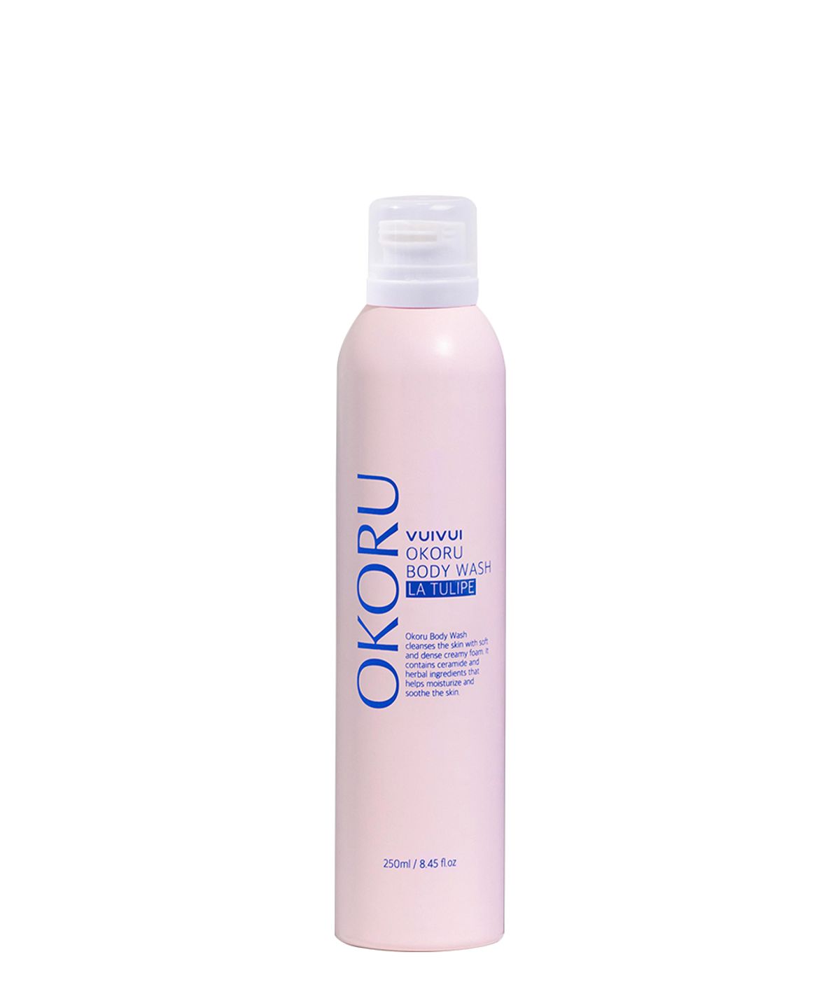 오코루(OKORU) 오코루 퍼퓸 포밍 바디 워시 250ml