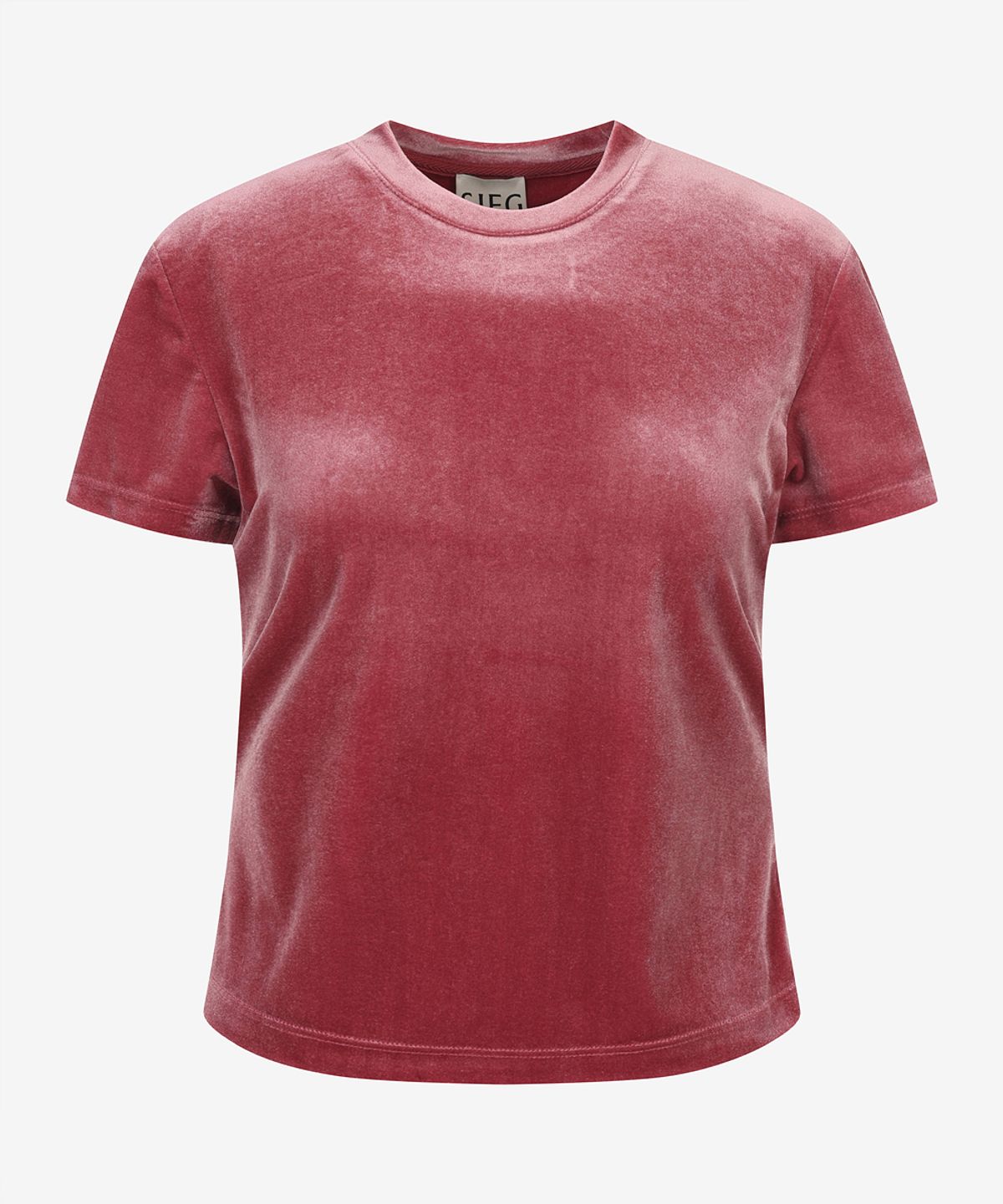지이크 서촌 하우스(SIEG SEOCHON HAUS) [Women] Velour Cropped T-Shirt (PPIBH8402)