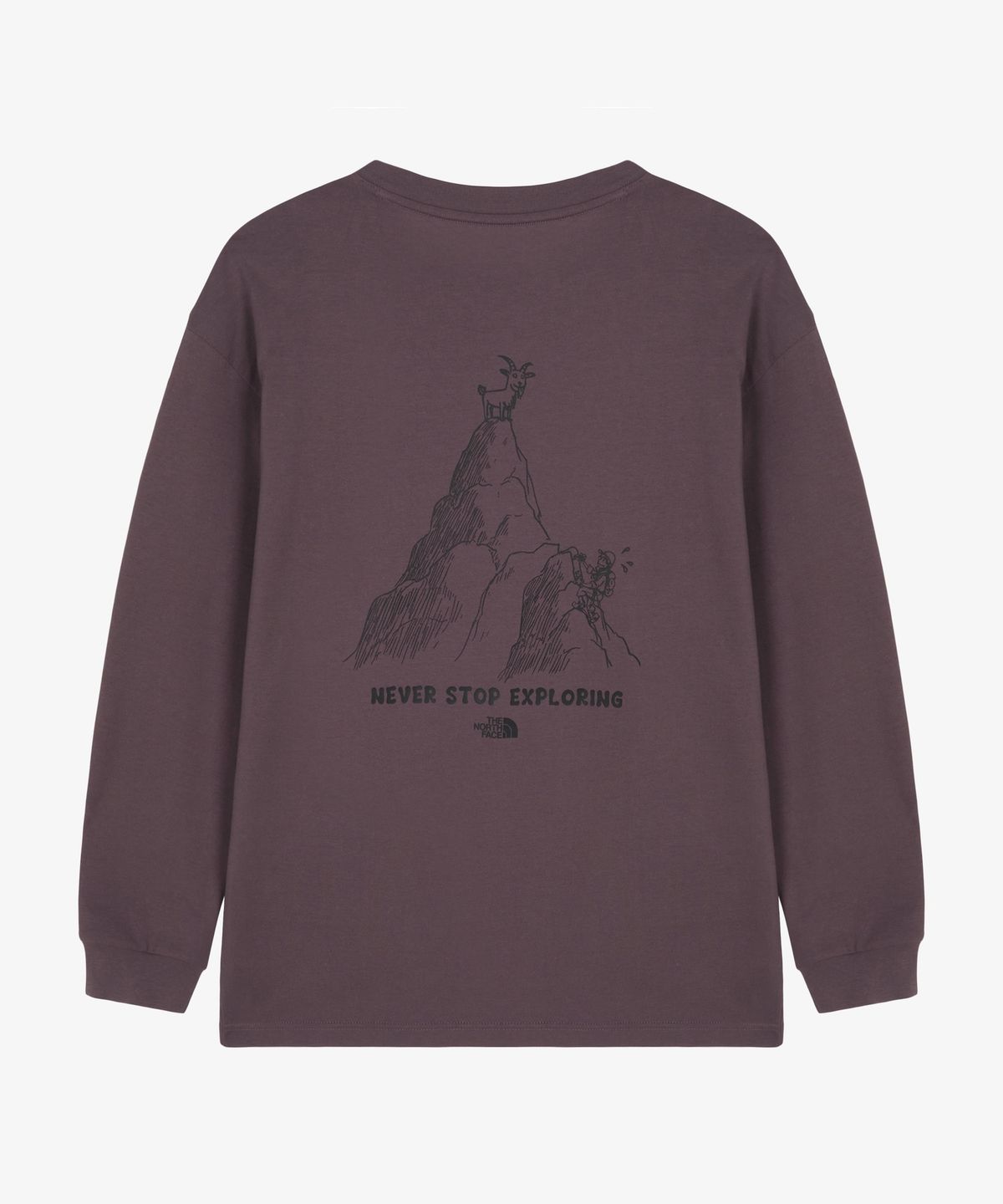 노스페이스(THE NORTH FACE) NT7TS51C 남성 데이클라임 긴팔 티 MISTY LILAC