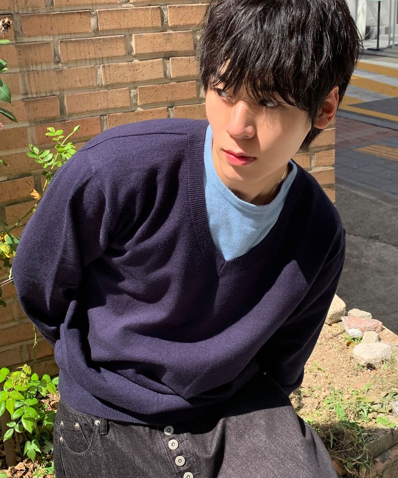 컬러 레이어드 브이넥 니트 [네이비]