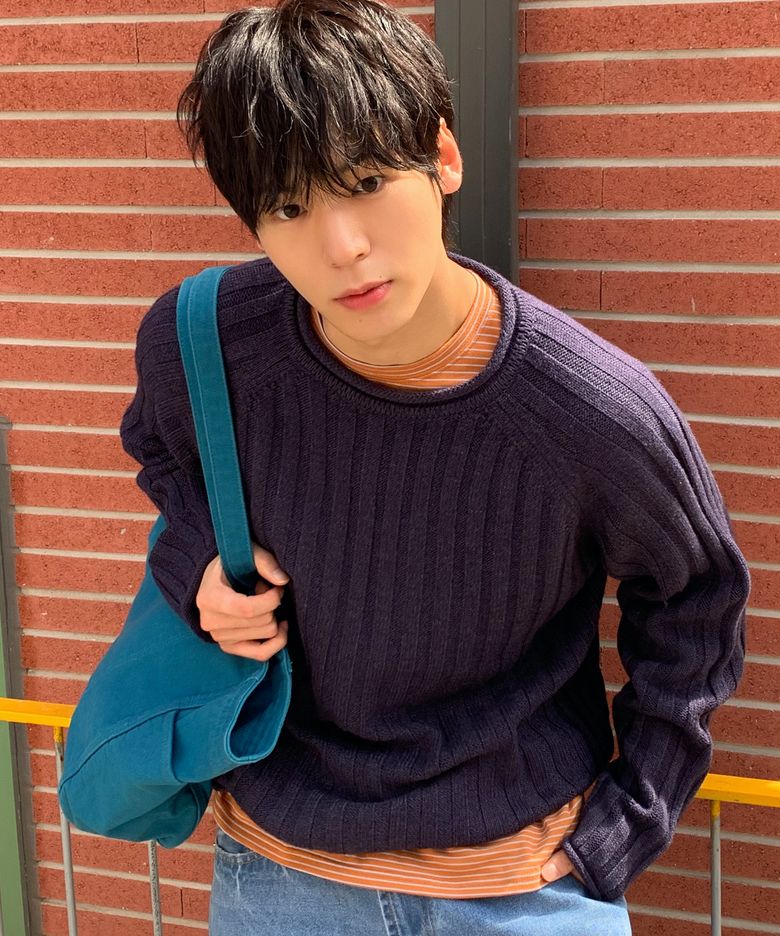 리브드 컷오프 라운드 니트 [빈티지퍼플]