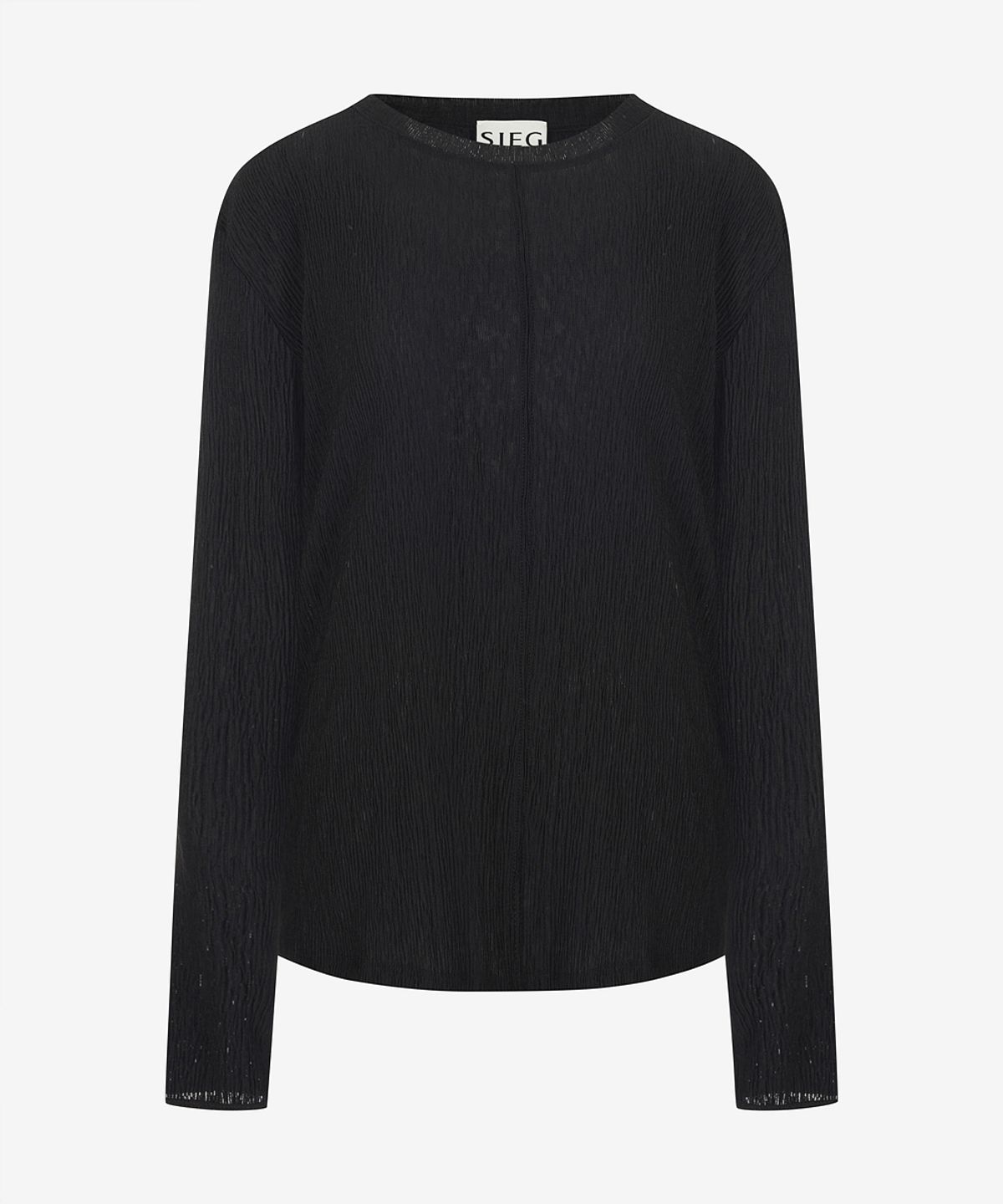 지이크 서촌 하우스(SIEG SEOCHON HAUS) [Women] Sheer pleated top (PMIBD8407)