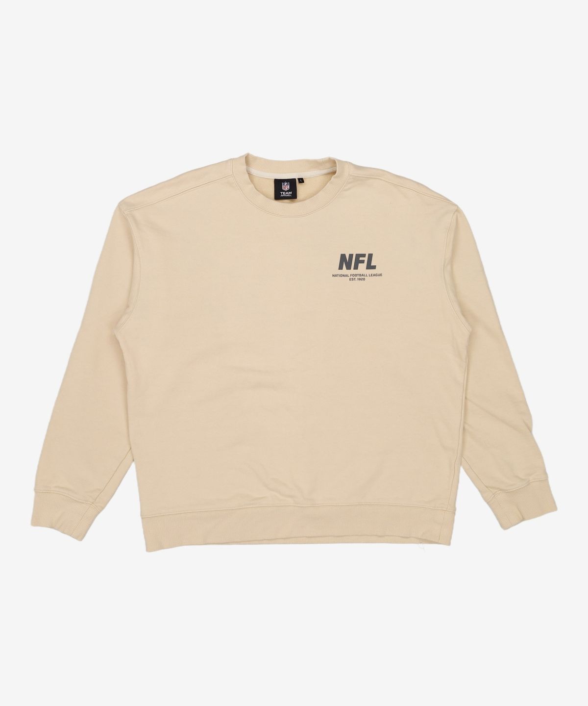 엔에프엘(NFL) 맨투맨/스웨트셔츠 100