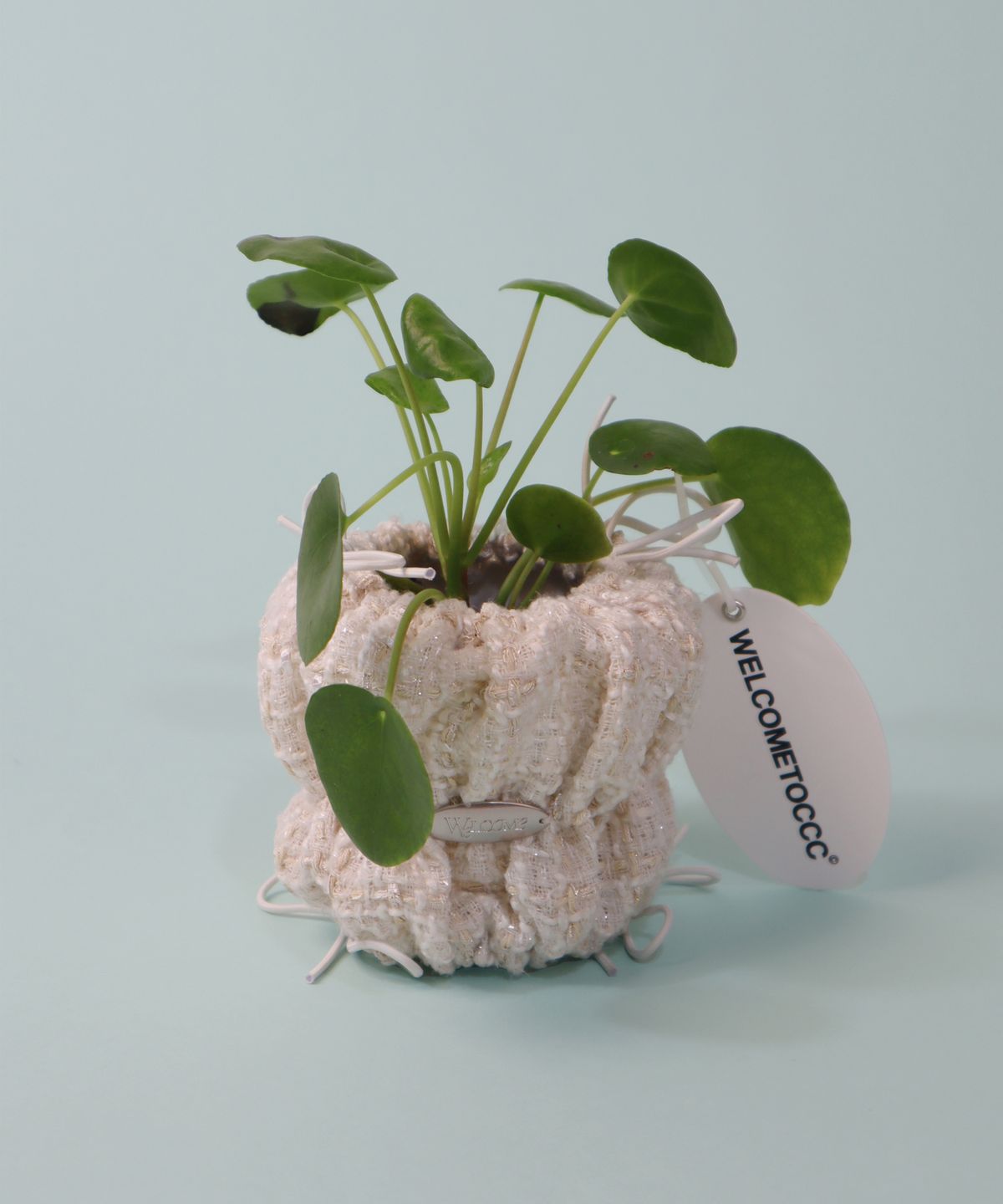 웰컴투씨씨씨(WELCOME TO CCC) PouPouPot Oatmeal (PoPo S Size) 화분팟