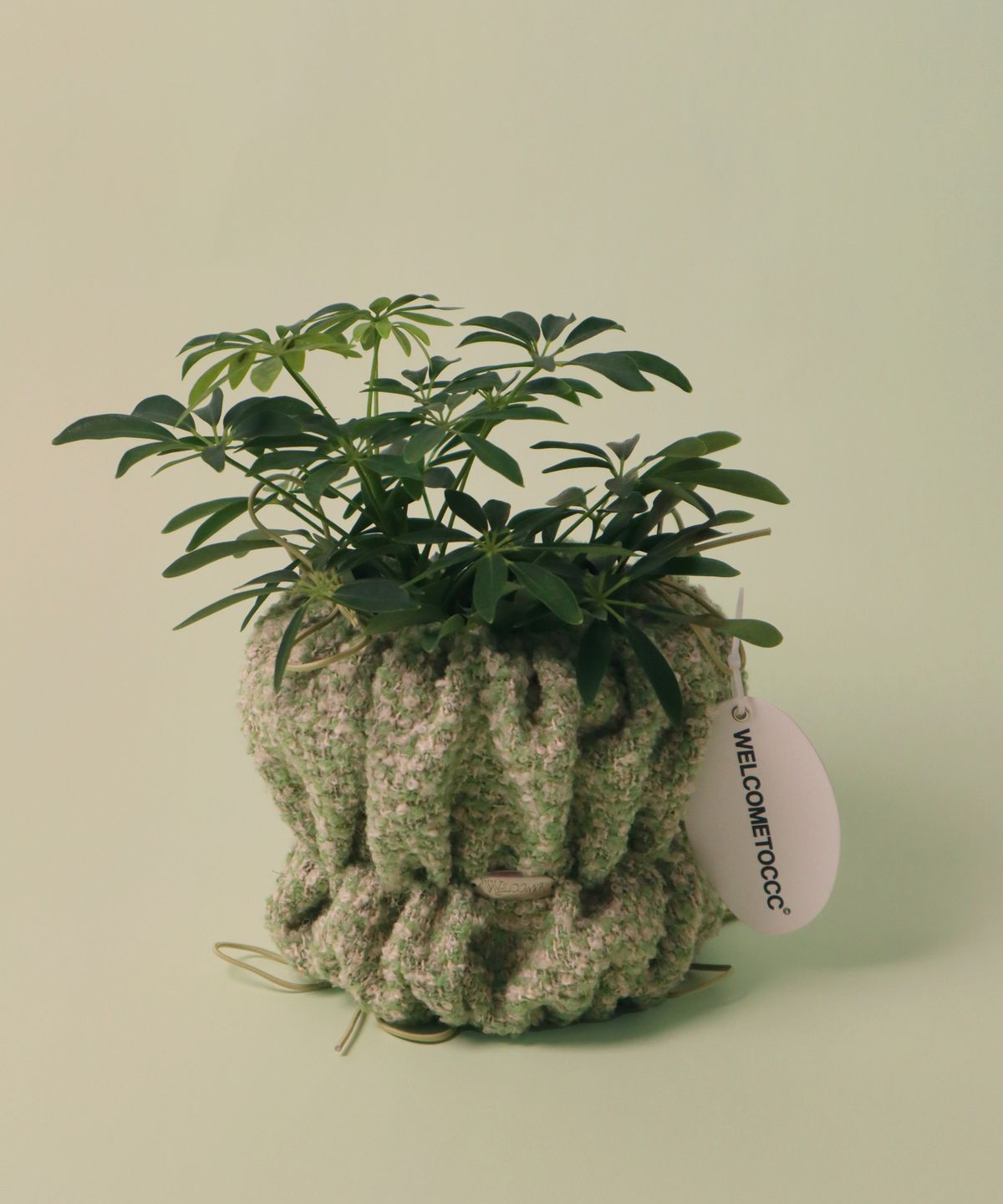 웰컴투씨씨씨(WELCOME TO CCC) PouPouPot Pistachio (PuPu M Size) 화분팟