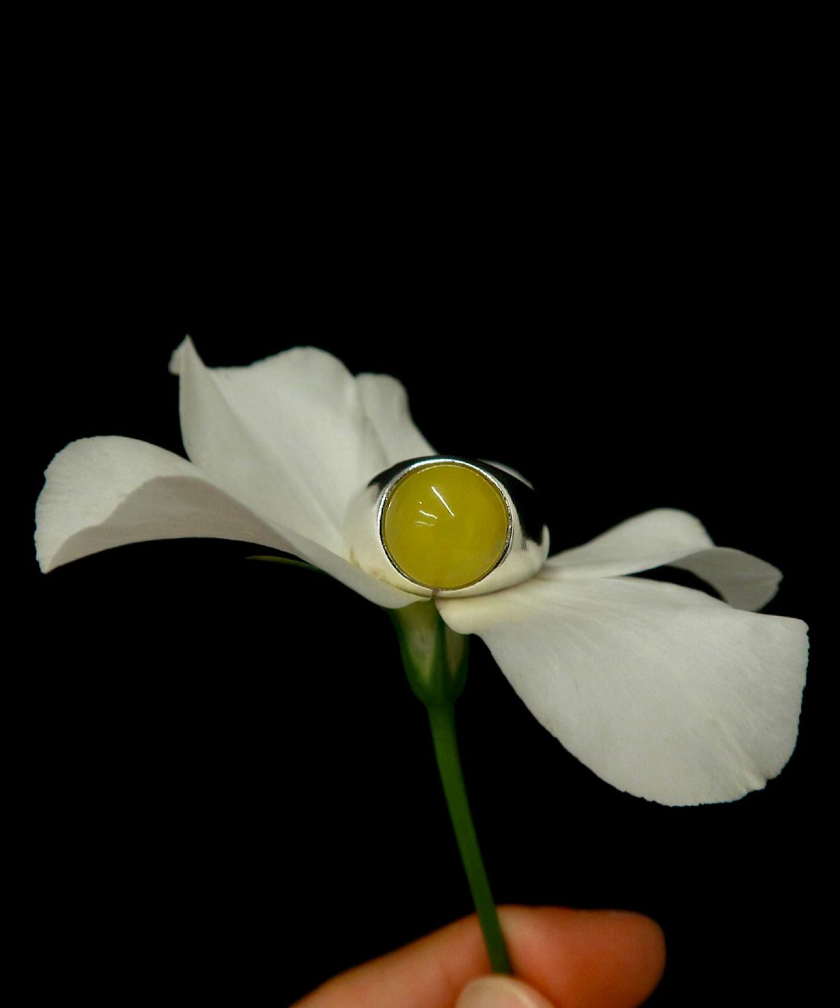 손희(SONHEE) Ginkgo