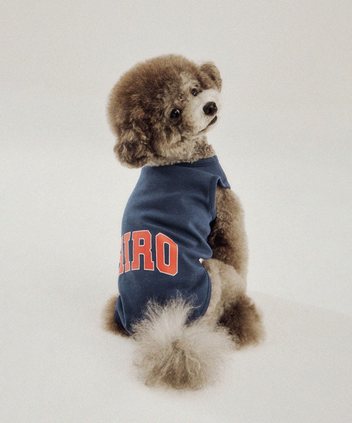 히로(HIRO) 26FW 캠퍼스 베이직 펫 티셔츠