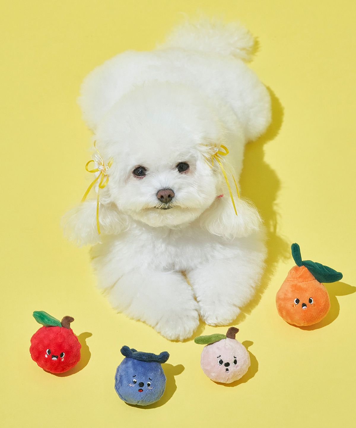 베일리(BAILEY) 강아지 장난감 삑삑이 인형 봉제 프루티페스타