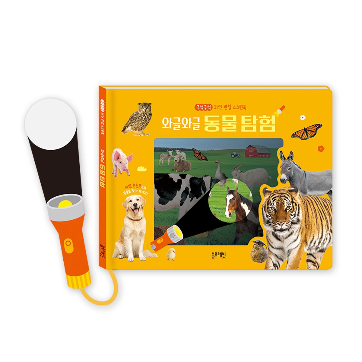 블루래빗(BLUERABBIT) 구석구석 자연 관찰 스크린북 와글와글 동물 탐험