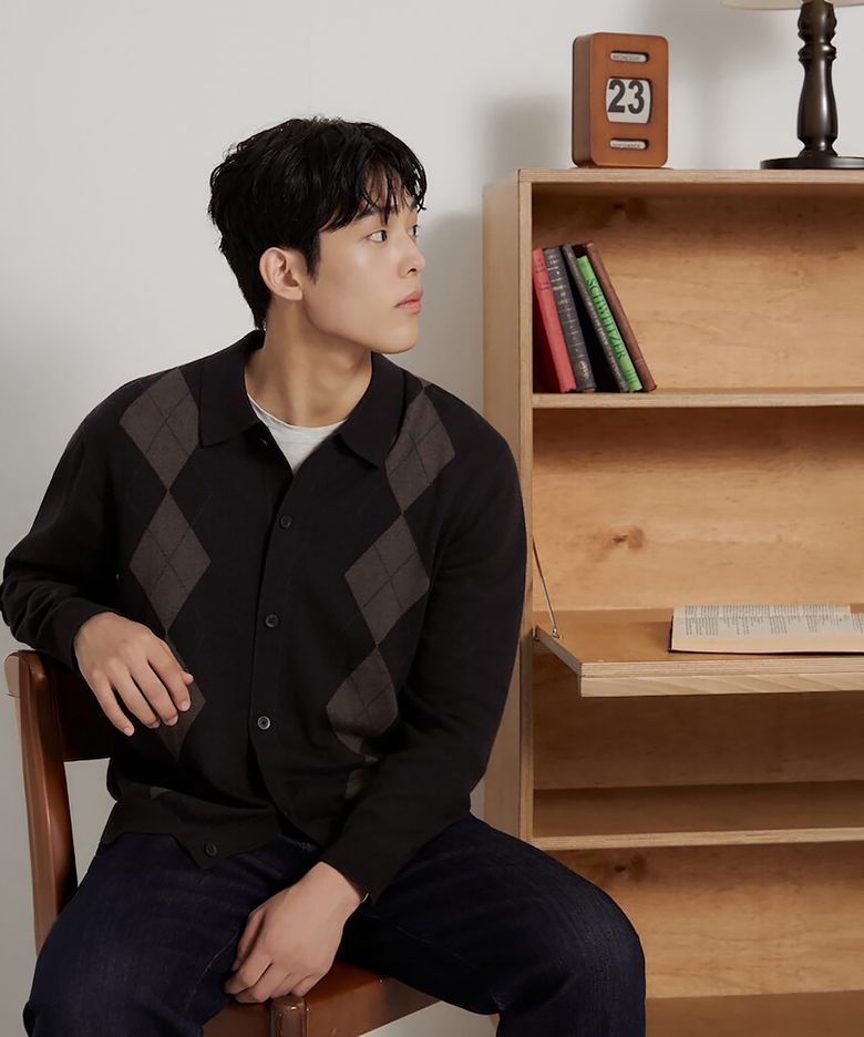 아가일 칼라넥 카디건  브라운
