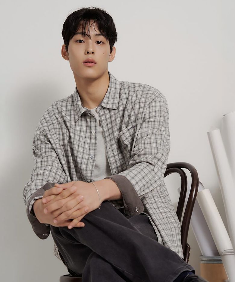 브러쉬드 스몰 옴브레 체크 셔츠  그레이