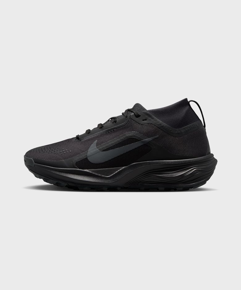 ACG 페가수스 트레일 GORE-TEX W - 블랙:서밋 화이트:앤트러사이트 / IQ1394-003
