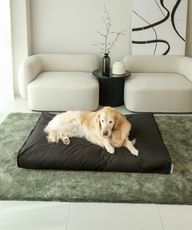 Thumbnail 0