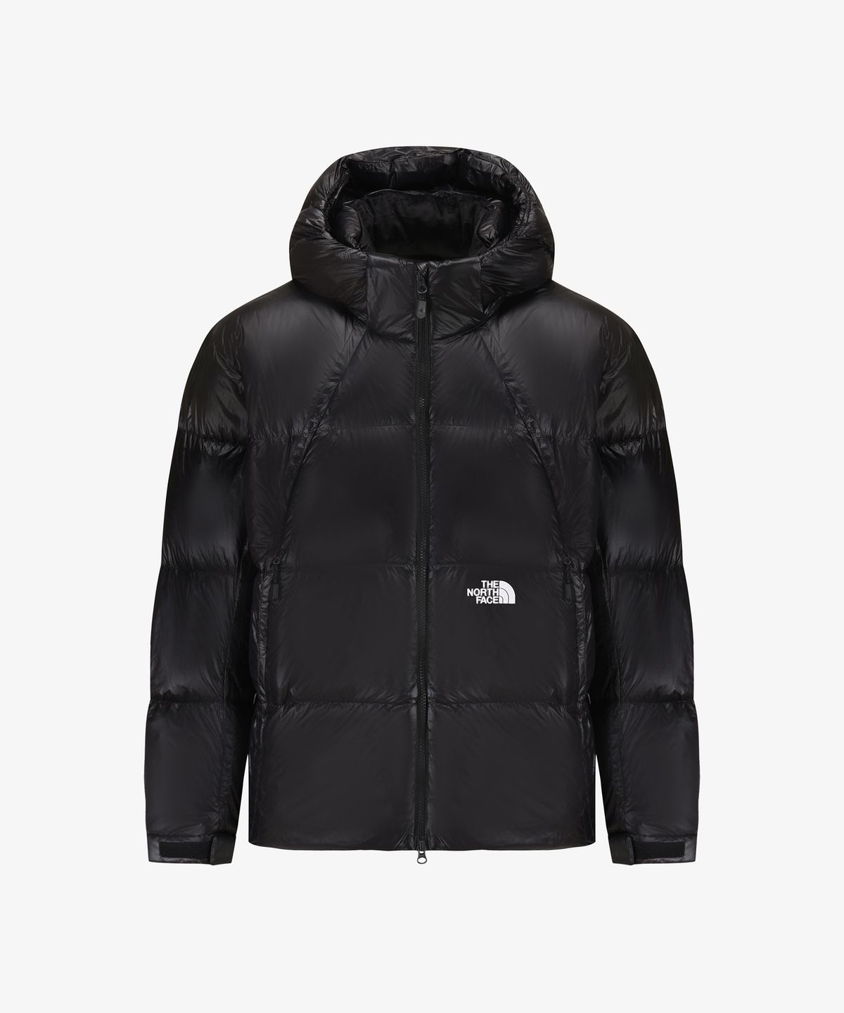 노스페이스(THE NORTH FACE) NJ1DS54J 프로젝트 다운 자켓 V2 (RDS) BLACK