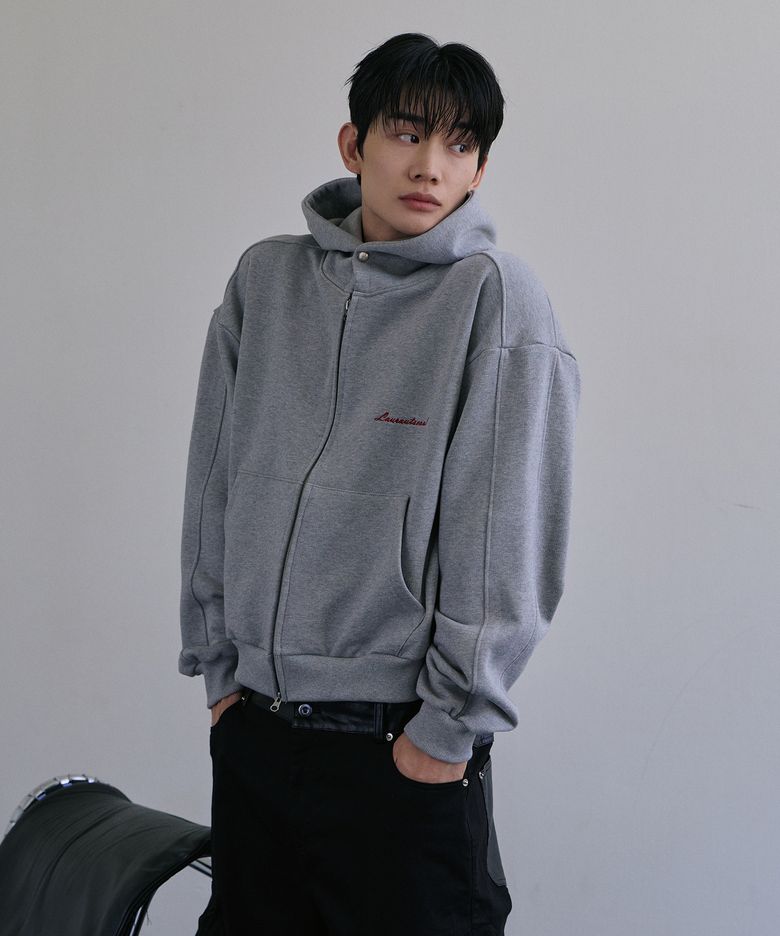 Structured paneled Crop hood zip up (Gray)