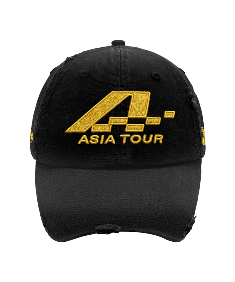 Asia Tour Distressed Dad Hat