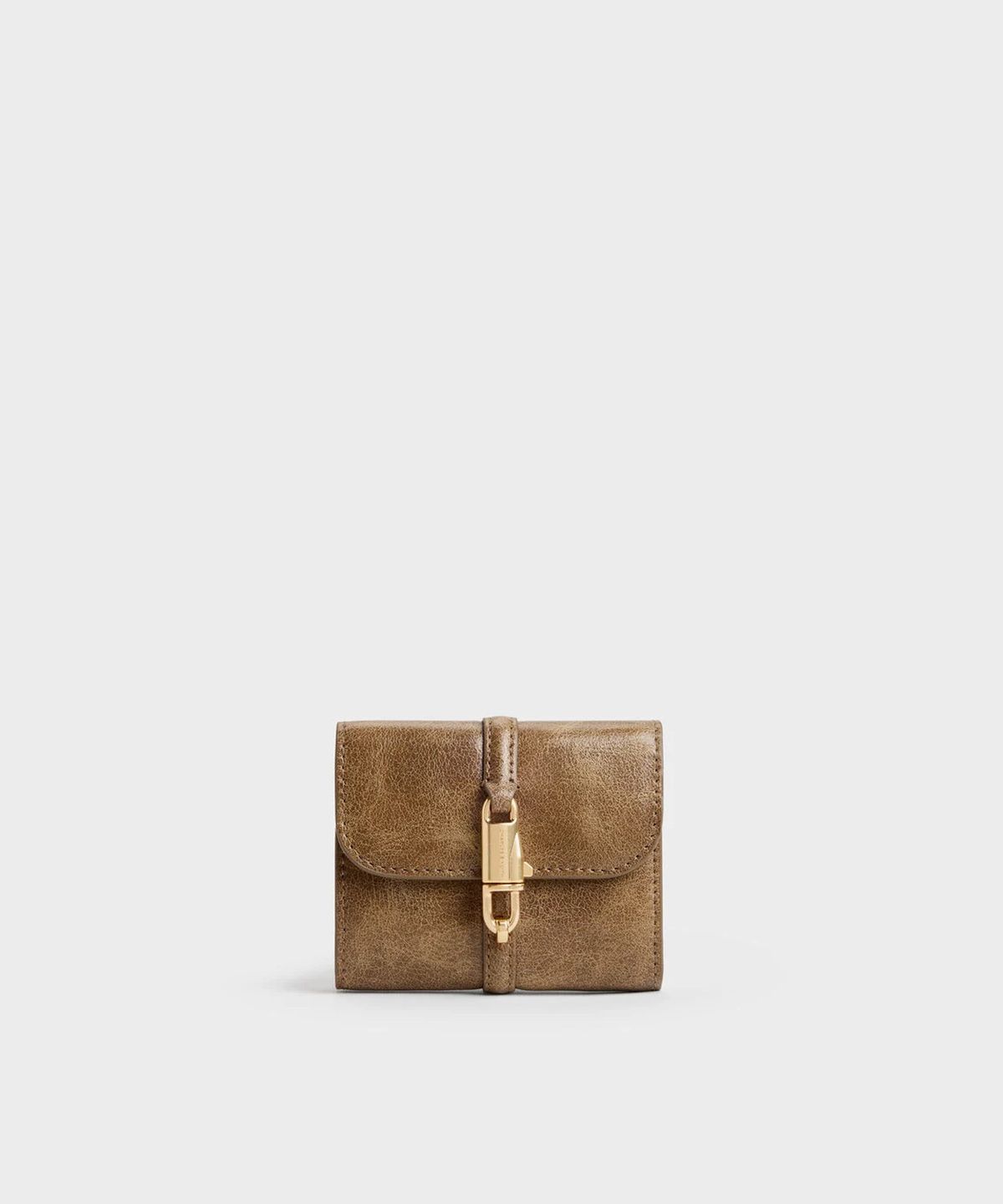 찰스앤키스(CHARLES & KEITH) 델피나 스몰 월렛 CK6-10701713