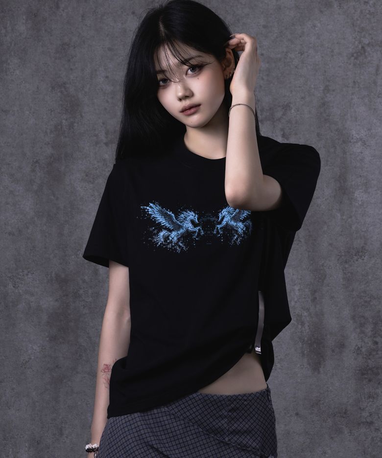 미러드 페가수스 크레스트 티셔츠 블랙