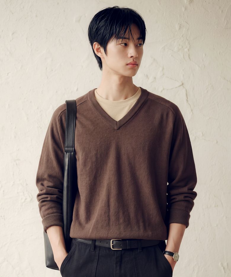 레이어 코튼 브이넥 니트 브라운 SJKN2719