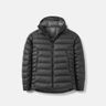 7366973