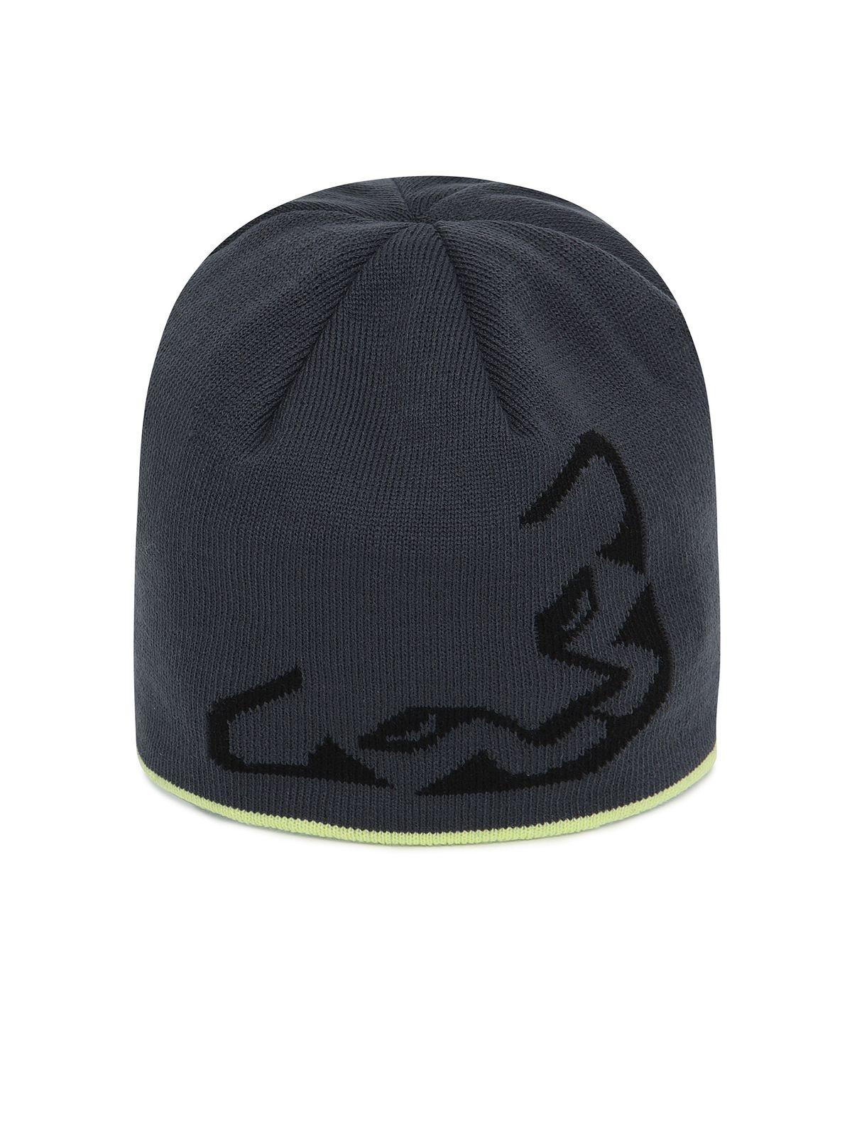 다이나핏(DYNAFIT) 빅로고 비니_Dark Grey_YUW26C25C6