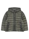 7394527