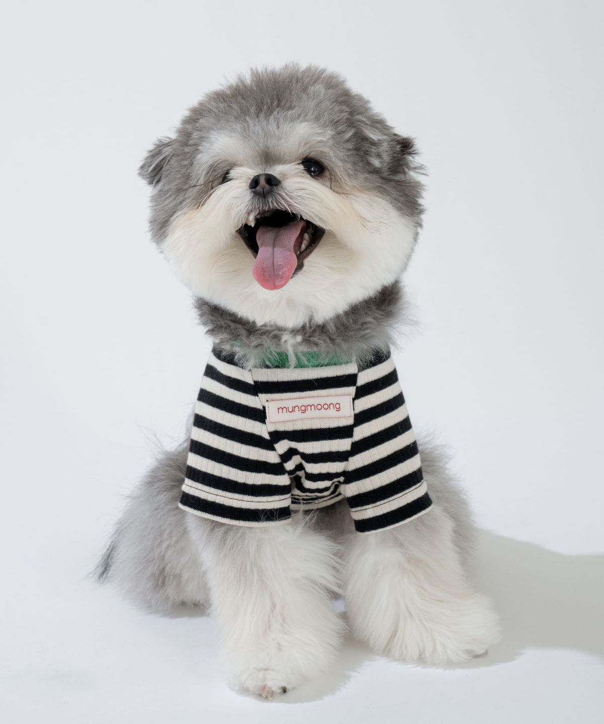멍뭉(MUNGMOONG) 치키 바이브 래글런 티셔츠 블랙