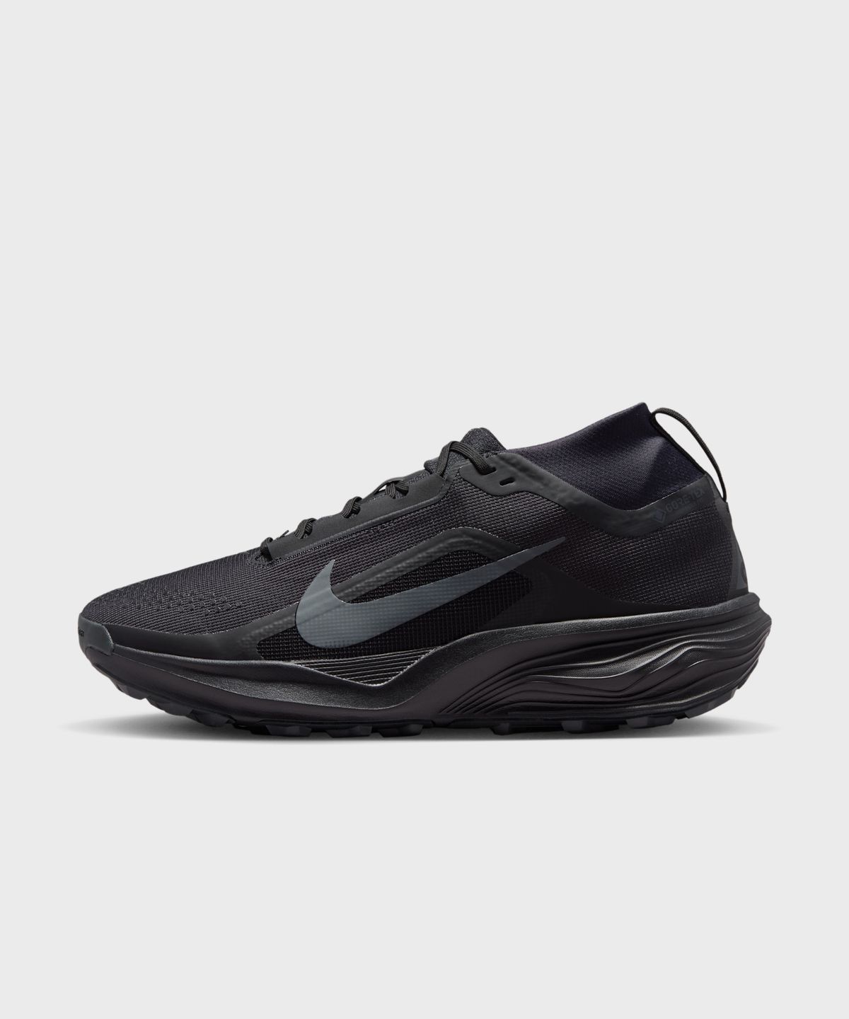 나이키(NIKE) ACG 페가수스 트레일 GORE-TEX M - 블랙:서밋 화이트:앤트러사이트 / IQ1084-002