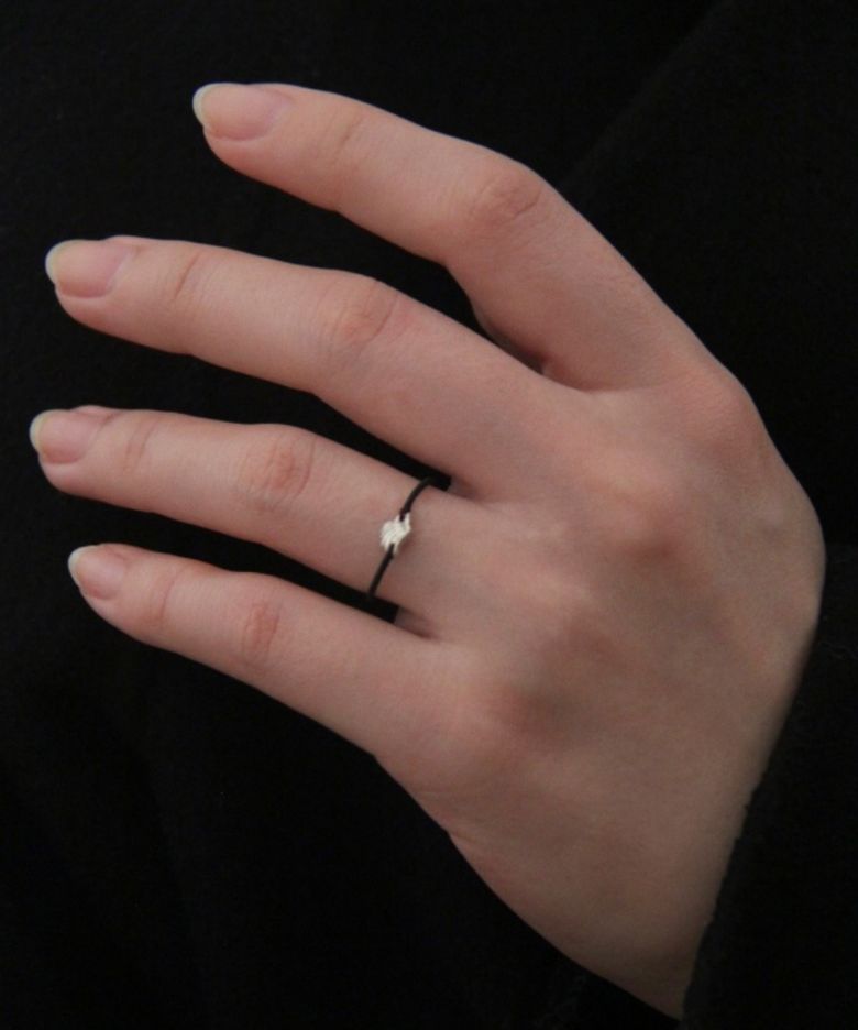 Winged Ring 날개단 반지