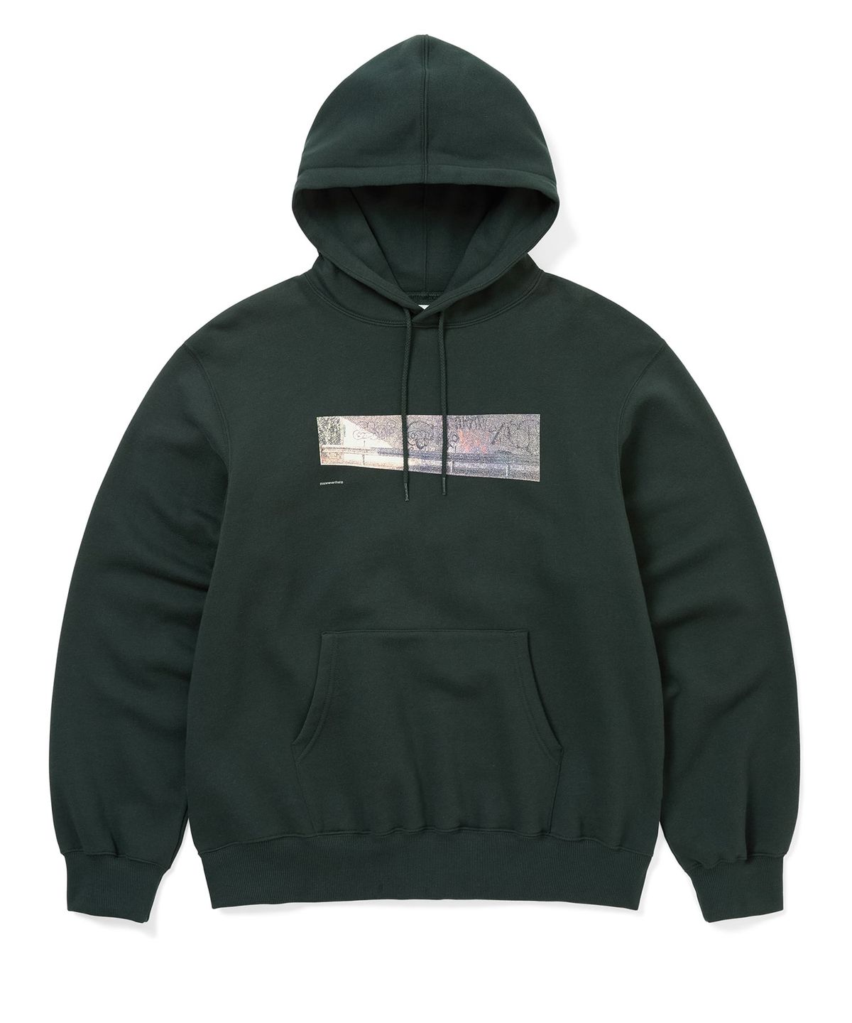 디스이즈네버댓(THISISNEVERTHAT) Wallscape Hoodie Dark Forest
