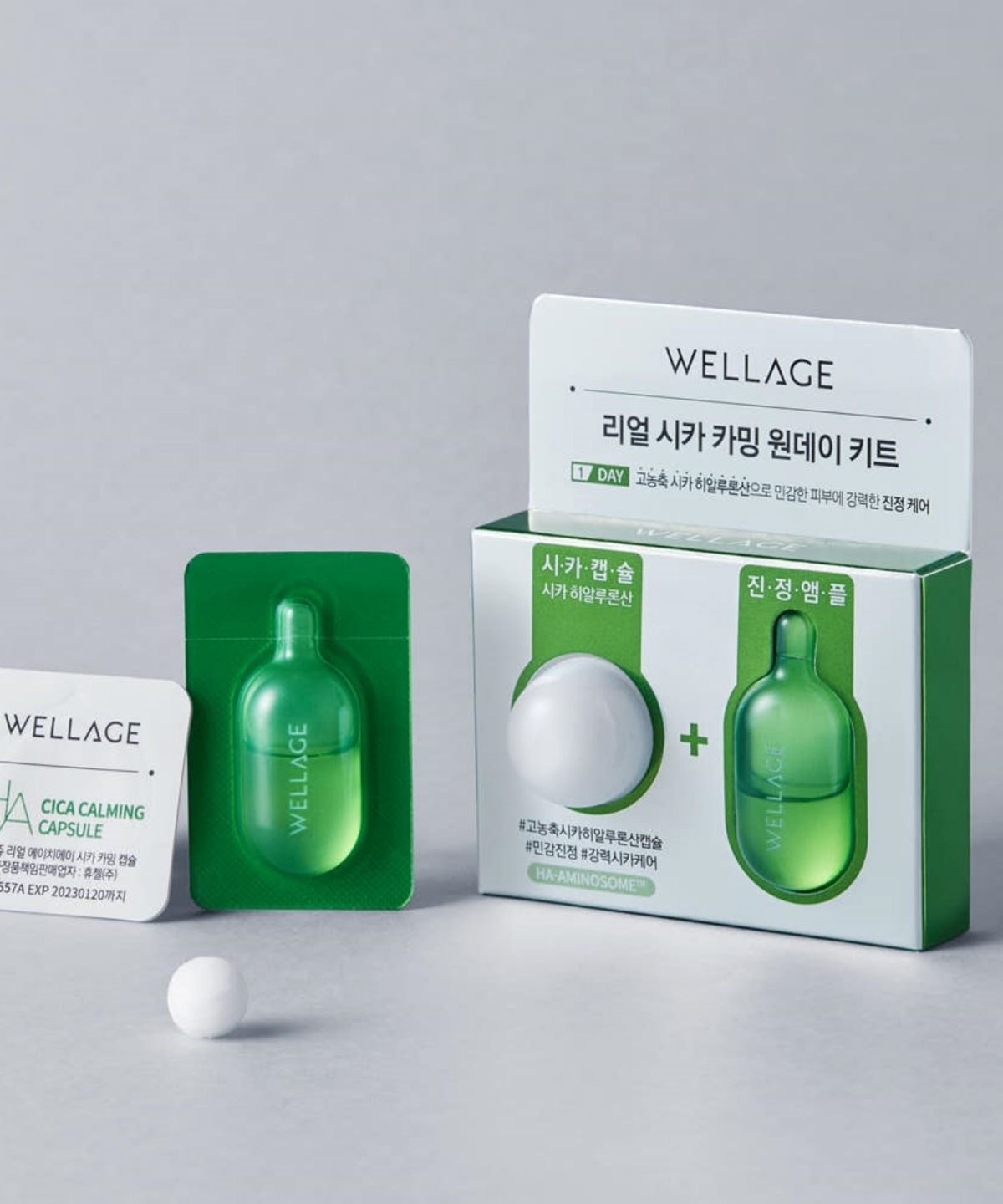 웰라쥬(WELLAGE) 리얼 시카 카밍 원데이키트 1개입