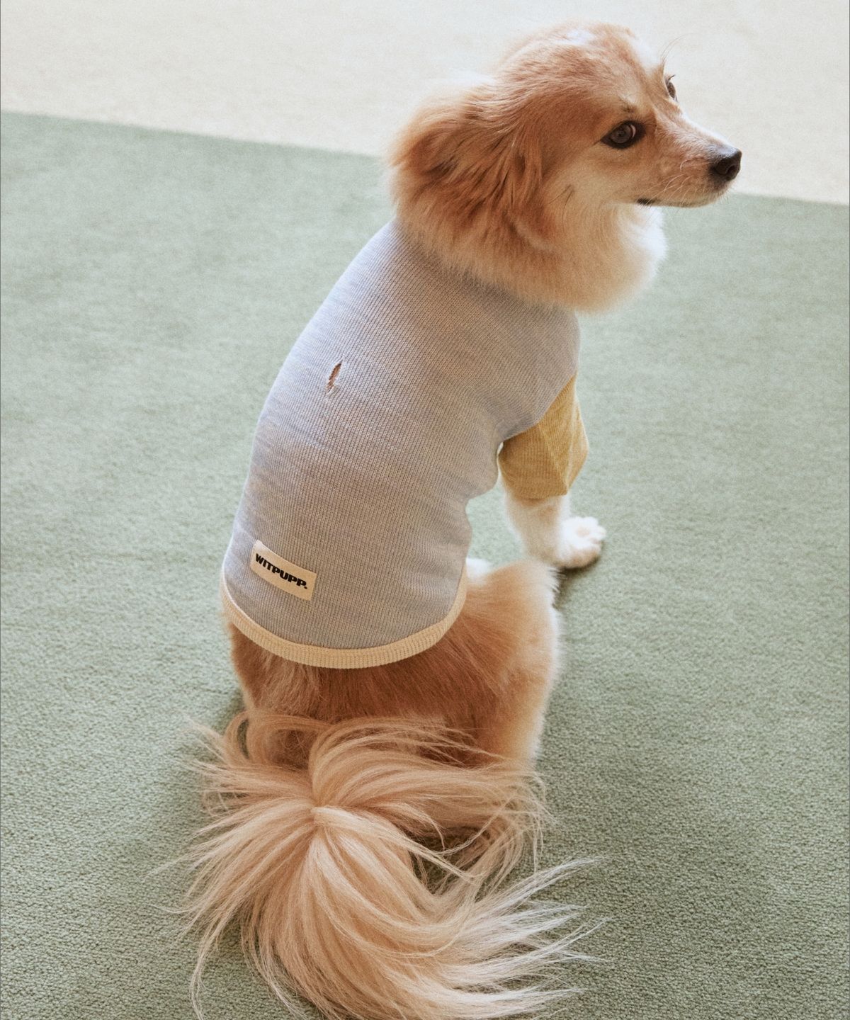 윗펍(WITPUPP) 컬러블록니트