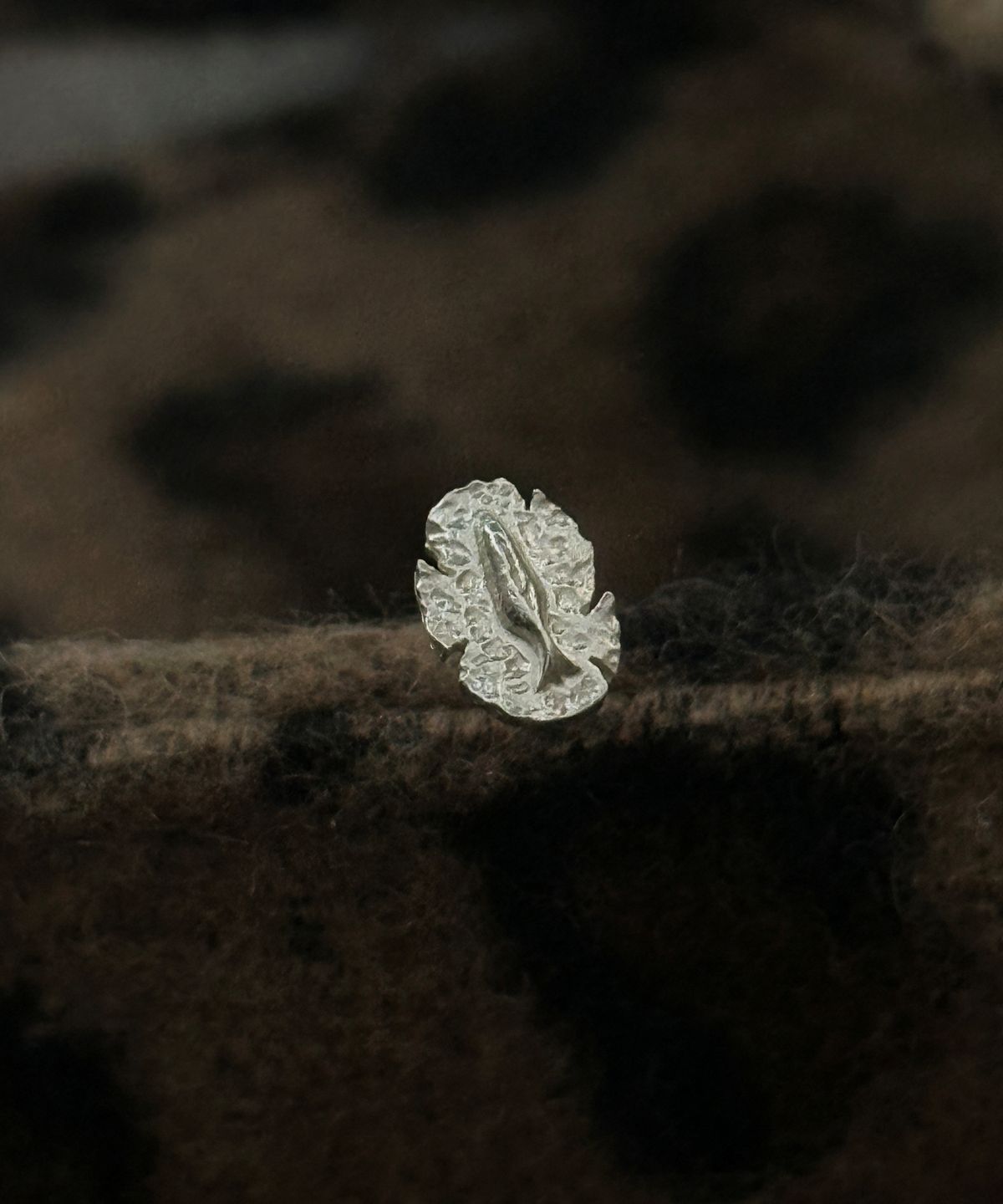 최창남메이드(CCNMADE) Always Luckycoin Earring 늘 럭키코인 귀걸이