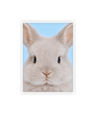 Thumbnail 0