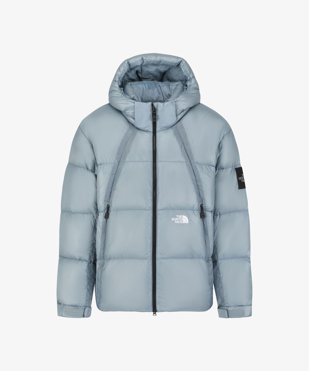 노스페이스(THE NORTH FACE) NJ1DS54K 프로젝트 다운 자켓 V2 (RDS) GRAYISH BLUE