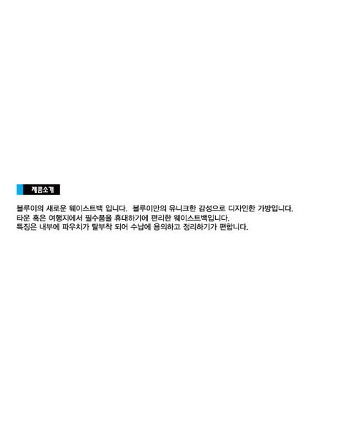 블루이(BLUEY) BLUEY UNIQUE WAIST BAG