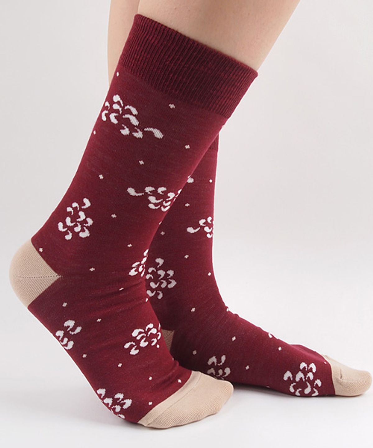 삭스더랭귀지(SOCKS THE LANGUAGE) magnolia